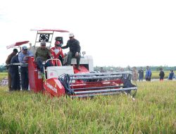 Sambas Lumbung Pangan, Miliki 274 ribu Petani